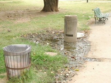 Un Lezama barranca abajo