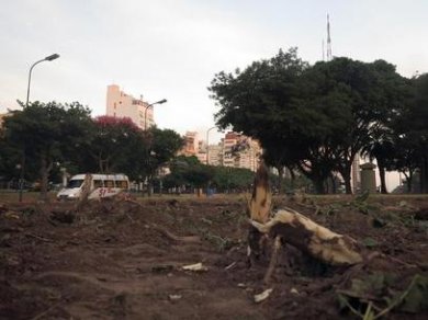 Metrobús: Siguen las críticas por la tala de árboles en la 9 de Julio