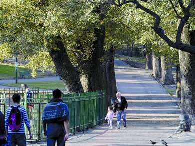 El Parque Lezama podría ser declarado Monumento Nacional