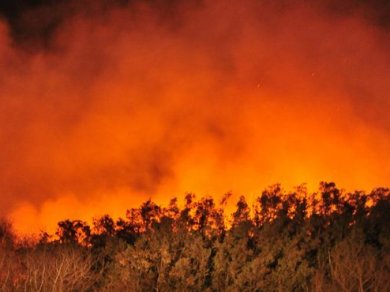 Otra vez fuego en la Reserva