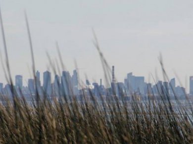  En busca de la playa perdida