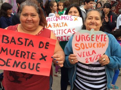 Qué culpa tiene el mosquito