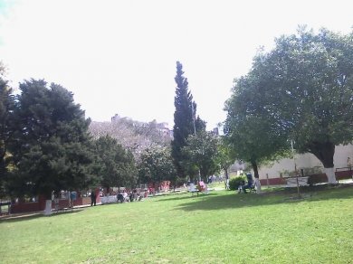 ¿Torres en Catalinas?