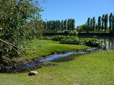 Clausuran un establecimiento que volcó hidrocarburos al Riachuelo