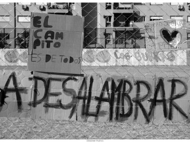 La venta de los campitos fue ilegal