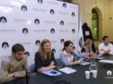 Buscan desafectar del dominio público un sector  de la Estación Buenos Aires