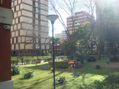 Sin tierra, con torres